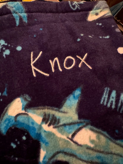 Embroidered Beach Towel - Kids Hooded