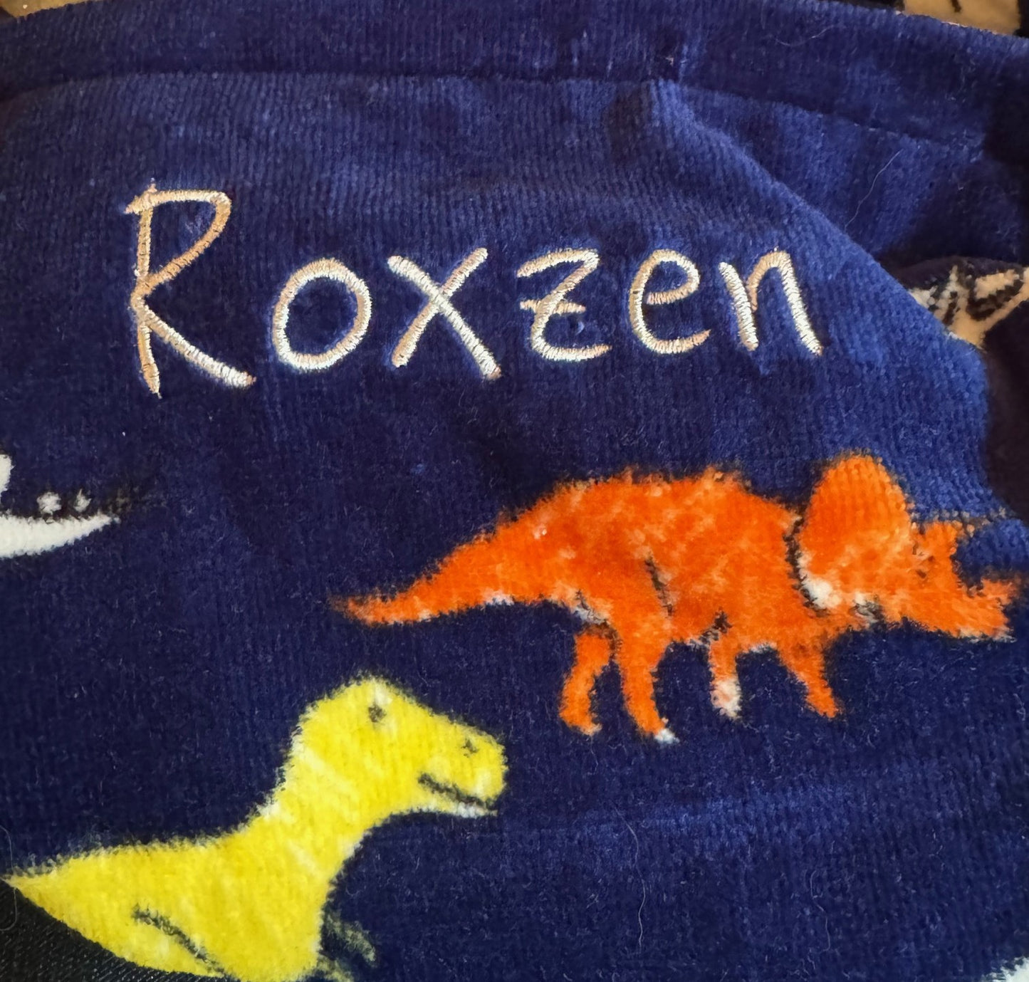 Embroidered Beach Towel - Kids Hooded